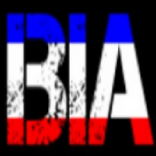 Brothers In Arms Inc