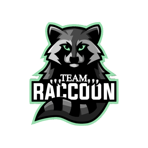 Raccoon Team