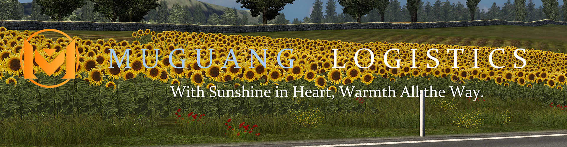 VTC Banner